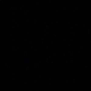 Meet your Posher, Katalina